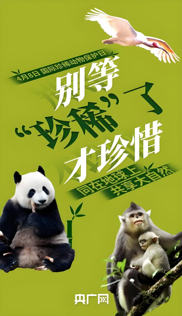 信息网站推广